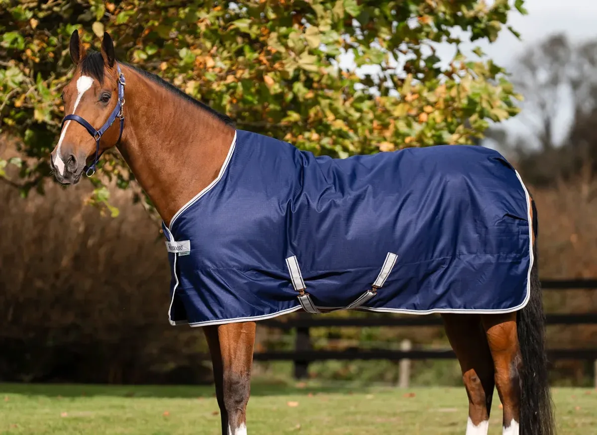 Bucas Freedom Stable 150g talliloimi