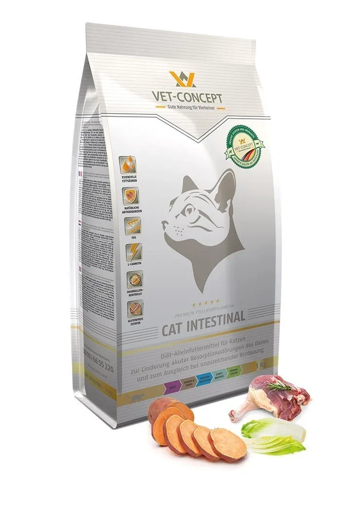 Cat Intestinal