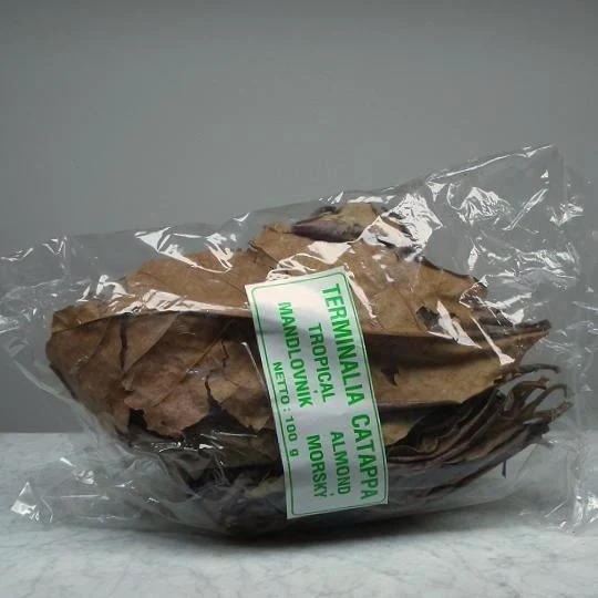 Catappa-lehdet 100g (n. 50kpl)