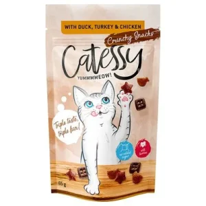 Catessy rapeat välipalat -säästöpakkaus 5 x 65 g ankka, kalkkuna & kana