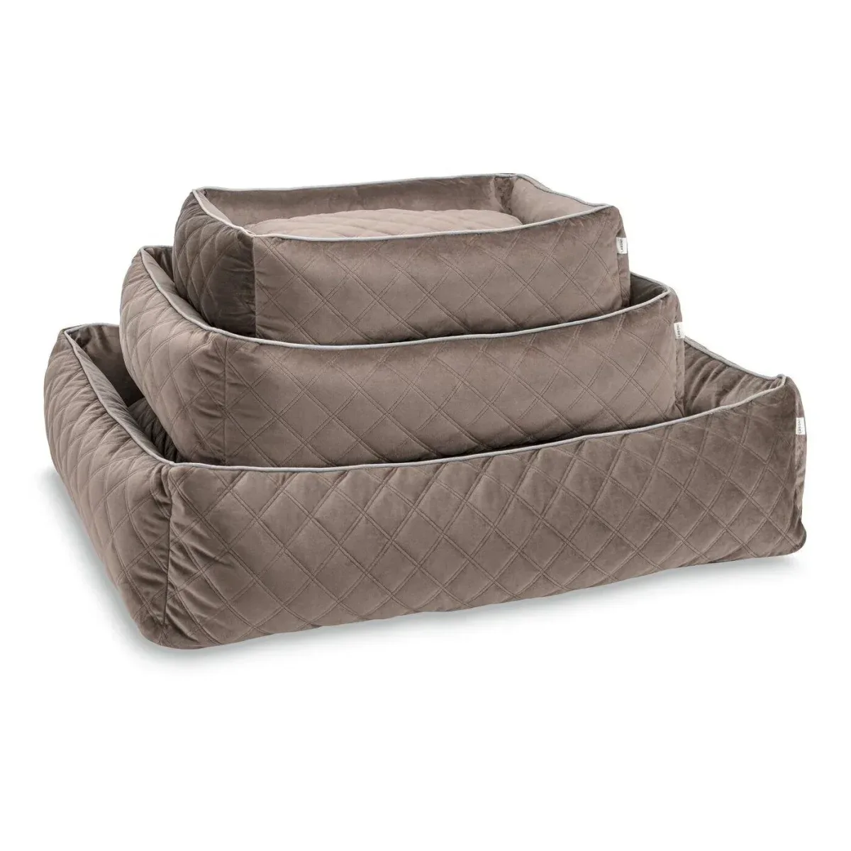 Classic Oxford koiranpeti – Samettinen