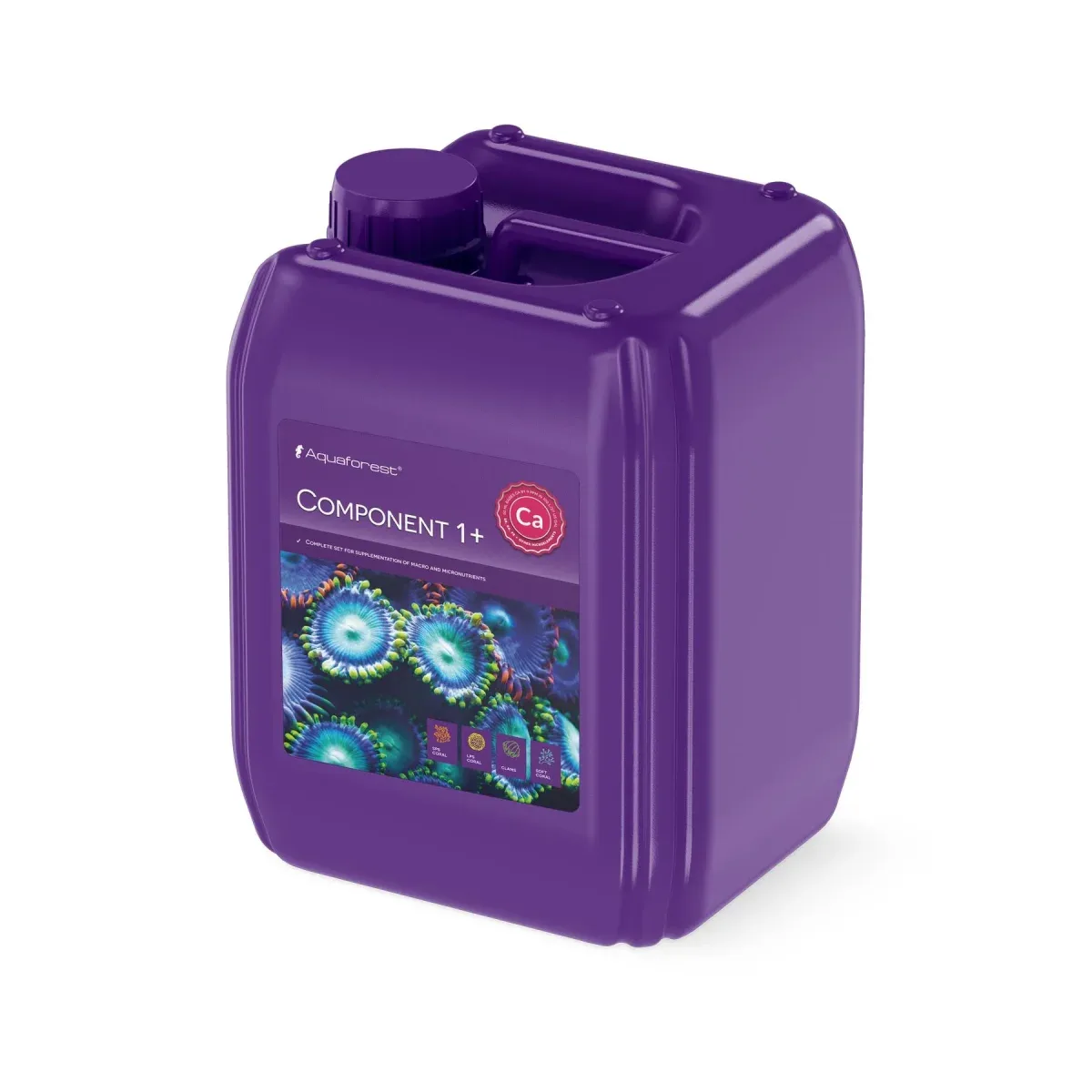 Component 1+ 5l