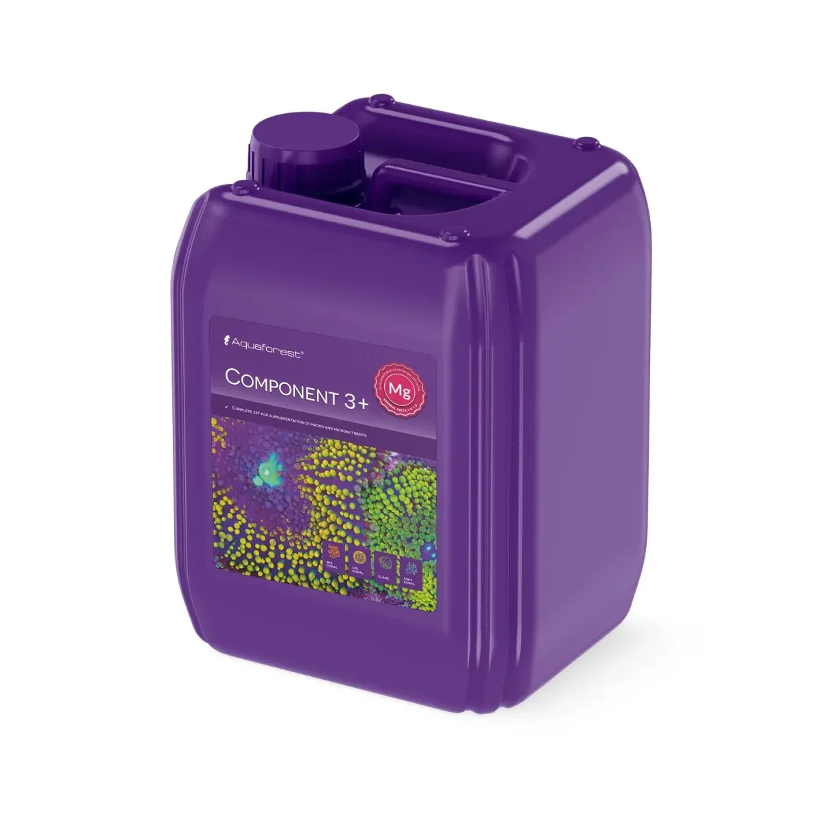 Component 3+ 5l