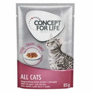 Concept for Life All Cats - in Gravy 12 x 85 g