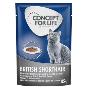 Concept for Life British Shorthair Adult Ragout 12 x 85 g