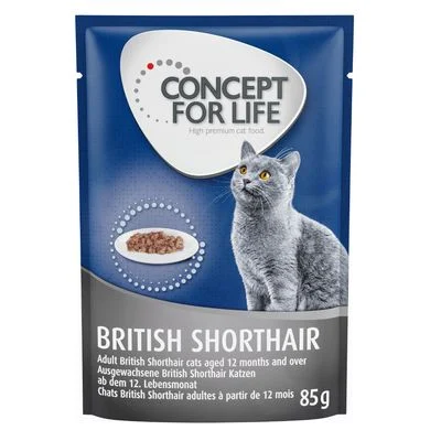 Concept for Life British Shorthair Adult Ragout 12 x 85 g
