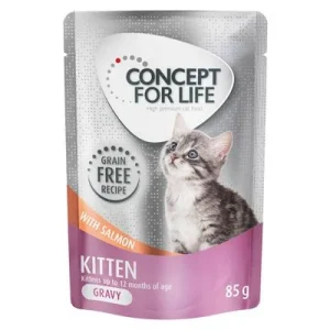 Concept for Life Kitten viljaton lohi
