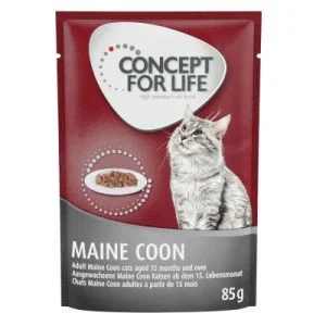 Concept for Life Maine Coon Adult oheen: 12 x 85 g Concept for Life Maine Coon Adult