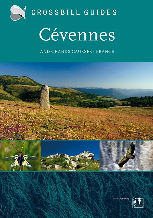 Crossbill Guide Cevennes and Grand Causses, France – 2015