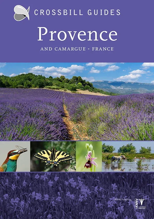 Crossbill guides Provence and Camargue, France – 2020
