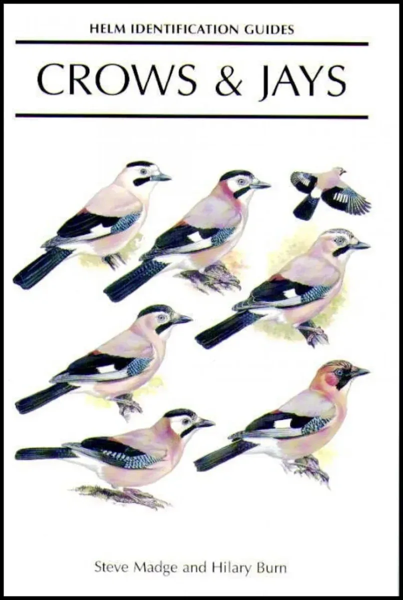 Crows & Jays – Madge,S. 1999