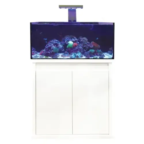 D-D Reef-Pro 900