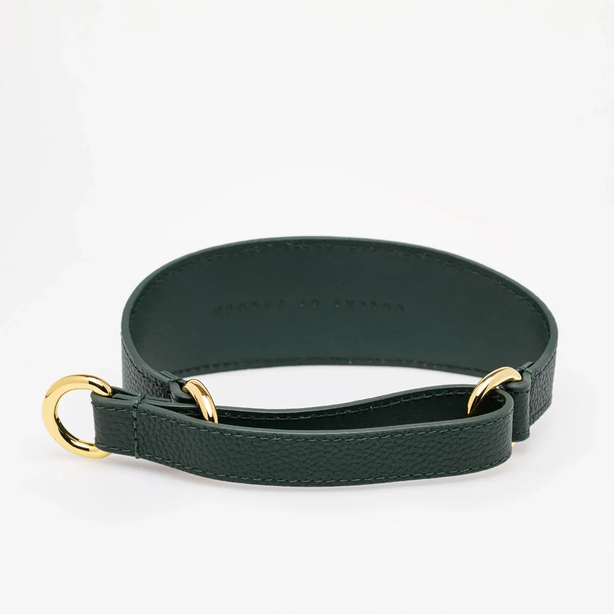 Dark Green Dog Martingale Wide