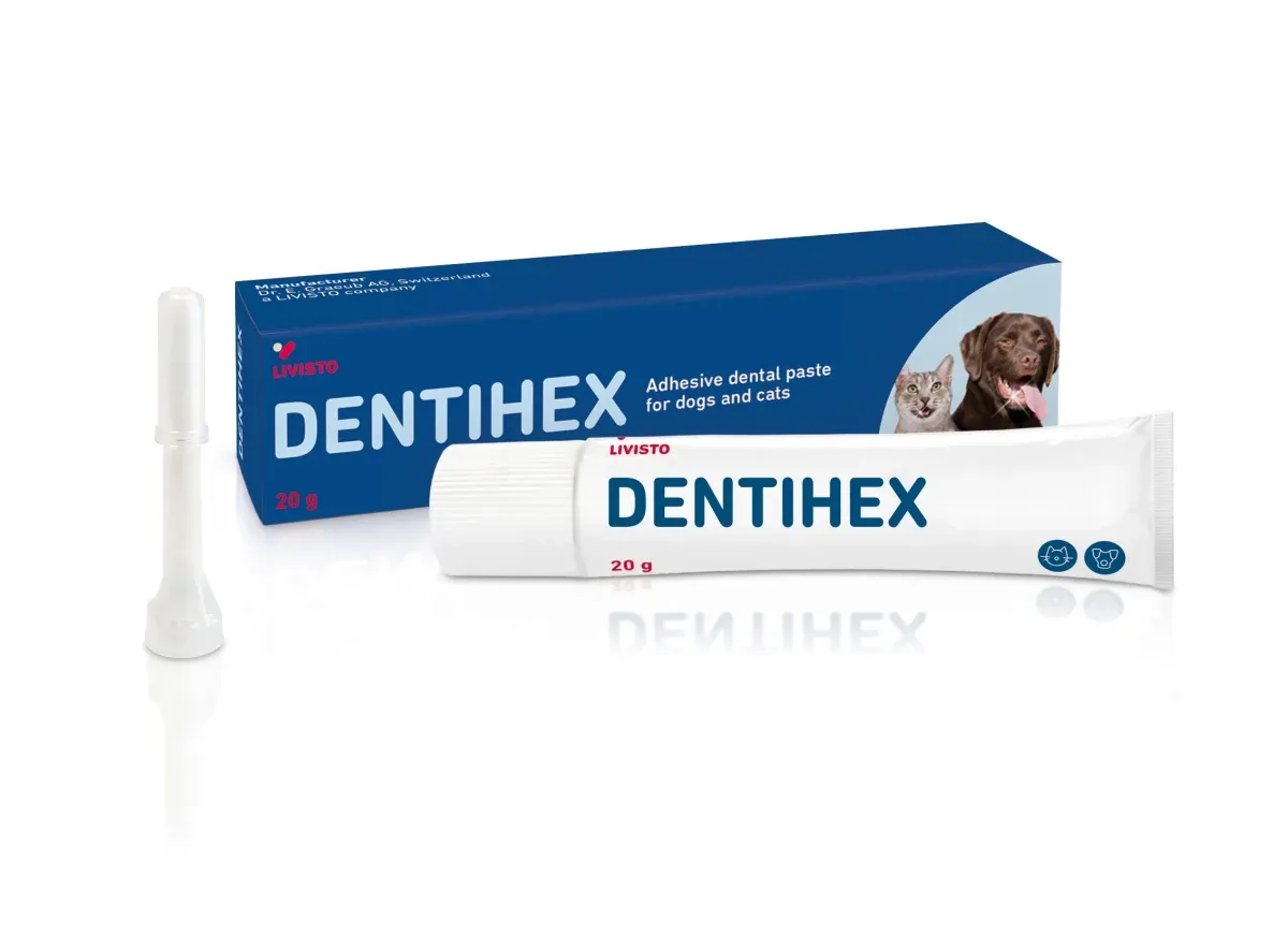 Dentihex hammasgeeli koirille ja kissoille 20 g