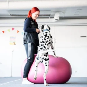 Dobo–kurssi