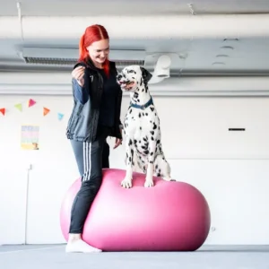 Dobo–ryhmä