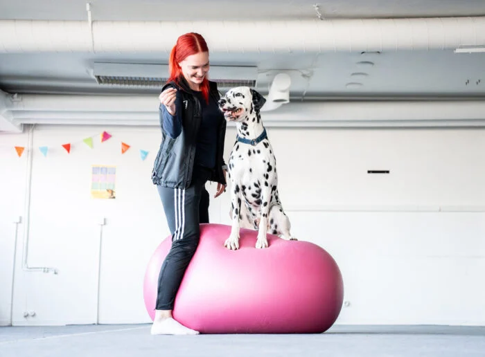 Dobo–ryhmä - Image 2