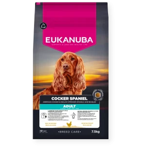 Dog Cocker Spaniel 7,5kg