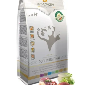 Dog Intestinal