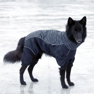 Dogman Dot sadehaalari, musta