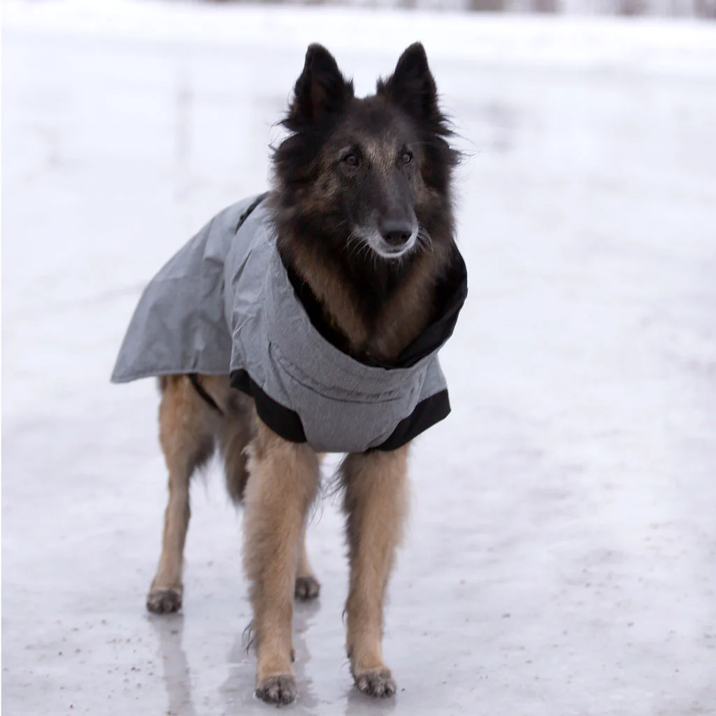 Dogman Pom talvitakki, harmaa - Image 2