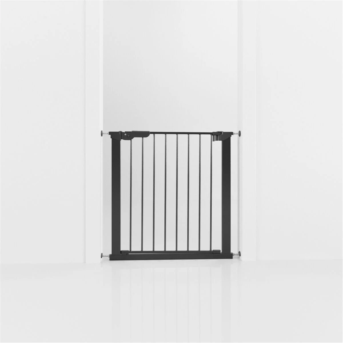 DogSpace Lassie -koiraportti 73,5-79,6 x 72 cm