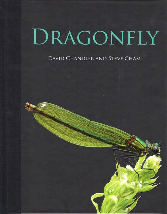 Dragonfly – Chandler,D. 2013