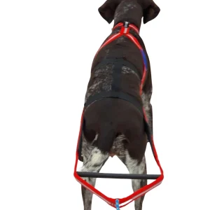 Dragråttan Stick Harness
