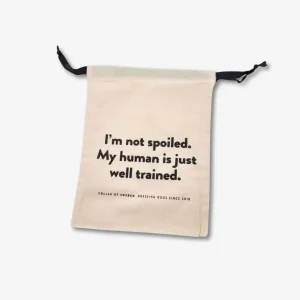 Dust Bag – Small