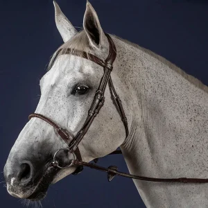 Dyón Leather Covered Rope Noseband Suitset