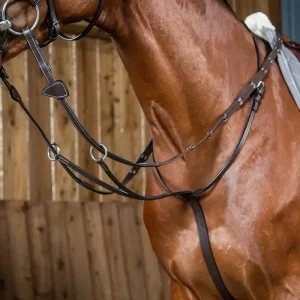 Dyon working martingaali