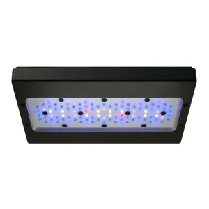 Ecotech Marine Radion XR30 G6 BLUE
