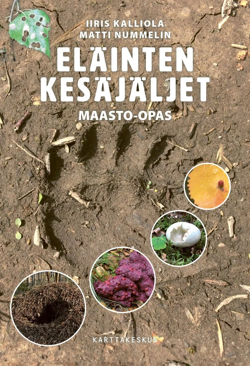 Eläinten kesäjäljet, Maasto-opas- Kalliola,I. 2021 - Image 2