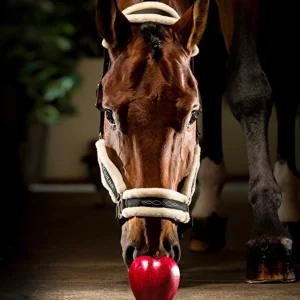 Equiline Riimu Tom