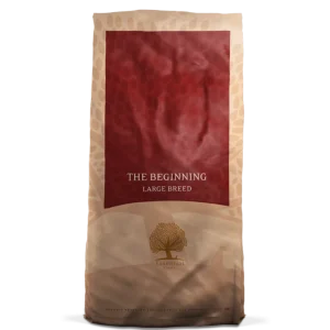Essential Beginning Large Breed
