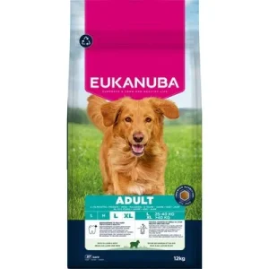 Eukanuba Premium Nutrition Adult Large & Giant Breed karitsa & riisi säästöpakkaus: 2 x 12 kg