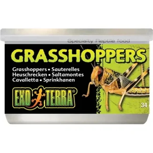 Exo-Terra Grasshoppers, sirkkasäilyke 34g