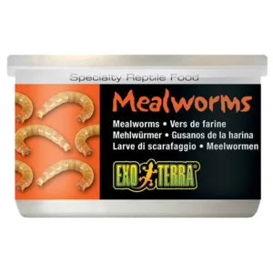 Exo-Terra Mealworms, jauhomatosäilyke 34g