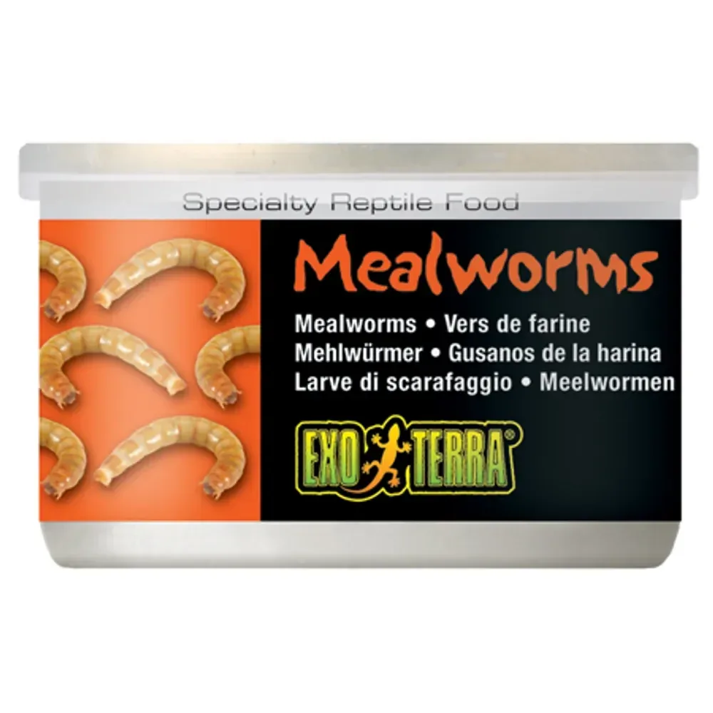 Exo-Terra Mealworms, jauhomatosäilyke 34g