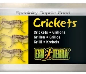 Exoterra Crickets 34g