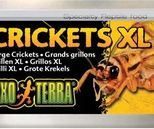 Exoterra Crickets XL 34g