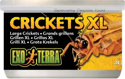 Exoterra Crickets XL 34g
