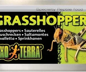 Exoterra Grasshoppers 34g