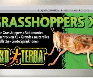Exoterra Grasshoppers XL 34g