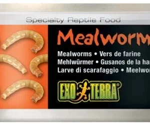 Exoterra Mealworms 34g