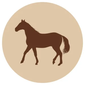 F-animal hevosen luut kg