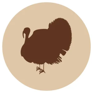 F-animal jauhettu kalkkuna luuton 500g