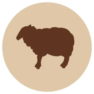 F-animal jauhettu lammas luuton 500g