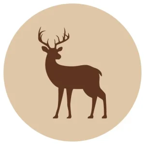 F-animal riista jauhettu 500g