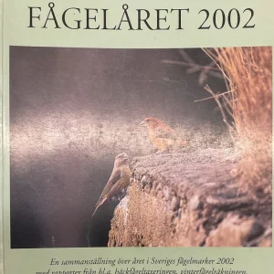 Fågelåret 2002 – Ruotsin lintutieteellinen yhdistys ry 2003